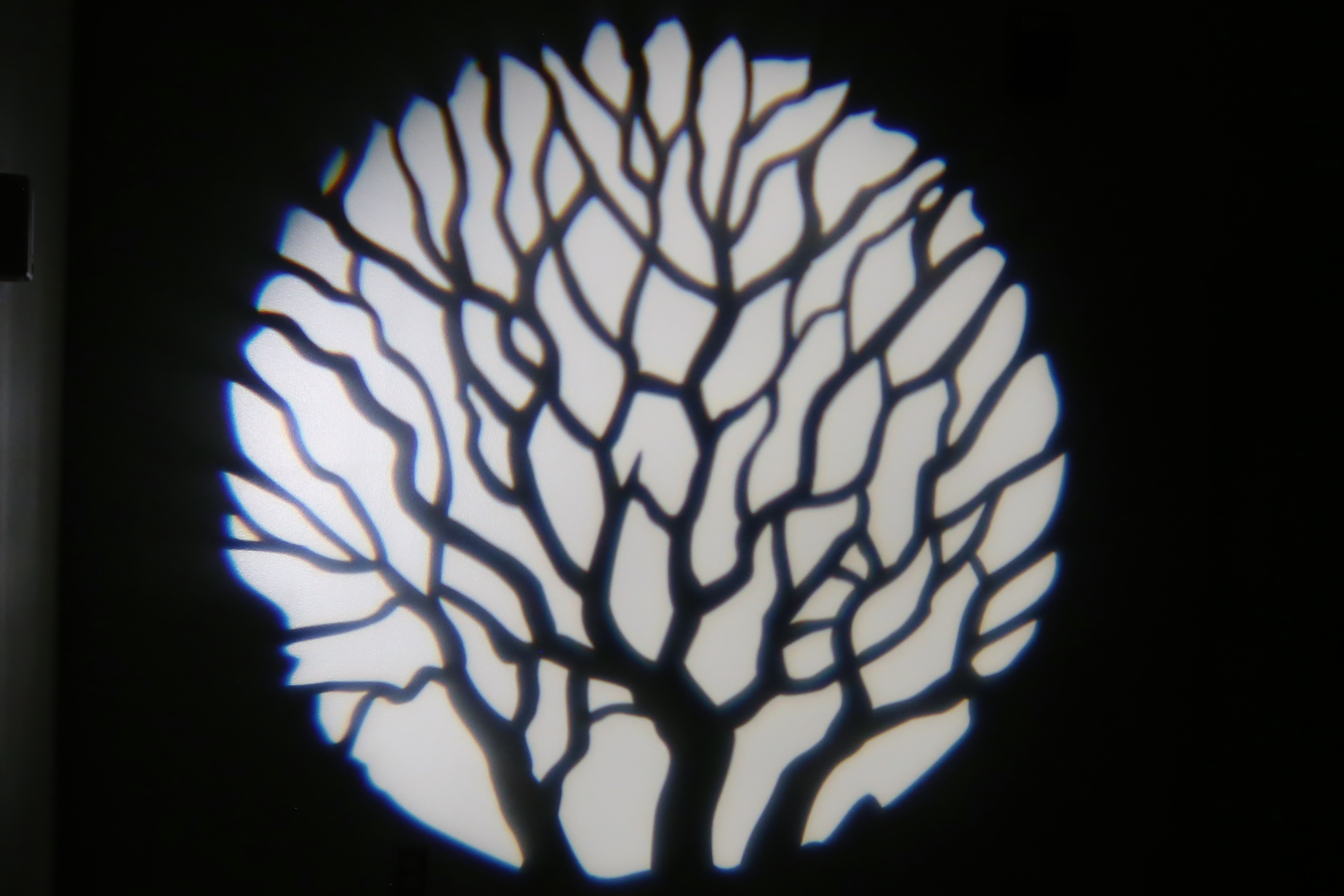 Nature - Tree Branches 1